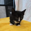 산북119안전센터 이미지