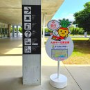 END FIT | 오키나와 미야코지마 시모지시마 공항 렌트카 버스 택시 시내 가는법