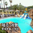 해 호텔 | 제주 롯데호텔 수영장 해온 부대시설 총정리 내돈내산 솔직후기 (가격 포함)