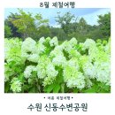 신동-59 | 수원 신동수변공원 목수국 카페거리 공간상점