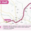 대흥1육교