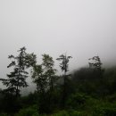 오디마을펜션 이미지