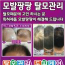 큐사랑천연미네랄전문염색방