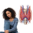 같지만 다른 얼굴 이미지