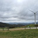 하백목장 이미지