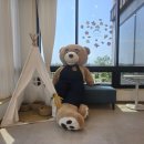 엔오엔팜 이미지