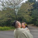 루카산부인과의원 | [공지] 제주도여행 :: 2일차 가족여행코스 아기봉합병원 아기랑 갈만한곳