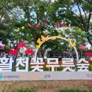 활천IC(진입)