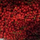 행화농장 이미지