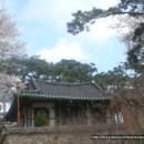 효부성씨비 | 영사정(永思亭)이야기