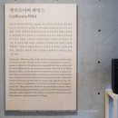 포아트 이미지