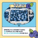 파워스포츠센터 이미지