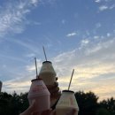 휘닉스 세탁장 이미지