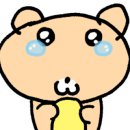 사진관옥상달빛 이미지