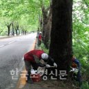 진주사 이미지