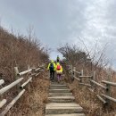 명산사슴농장 이미지