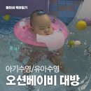 오션키즈 대방센터 | [육아/놀이] 8개월 아기수영장 아기랑수영장 오션베이비 대방센터 방문 후기/유아수영/아기수영