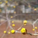 올래~you 이미지