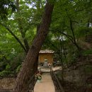 맑고 향기롭게 이미지