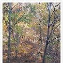 좌의2리 경로당 이미지