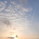 제부리 비치 콘도 이미지