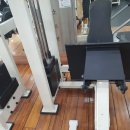 다이나포스헬스클럽 이미지