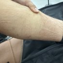 트렌드 핏 | 하단 헬스장 트렌드핏 세라젬 사용 후기