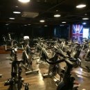 스타월드짐휘트니스 이미지