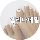네일셀리나 이미지