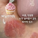 바닐라소프트(주) | 퓌 3D 볼류밍 바닐라 바닐라 소르베 바닐라쿠키 70% 3종 비교 발색샷