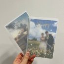 청첩장 6만원대로 해결! 비즈하우스 포토 청첩장 제작 후기