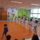 용인대 정의태권도 이미지