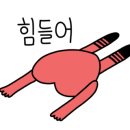 살몬연어이야기 이미지