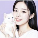 허쉬아트 네이버블로그