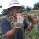 이기홍농장 이미지