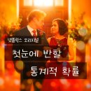영화 첫눈에 반할 통계적 확률의 정보와 평점 및 줄거리를 소개합니다