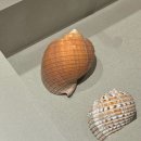 전시 현장 읽기 | 성수 전시 디뮤지엄 취향가옥2 솔직후기 성수 데이트코스 추천