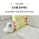 오시롬 농장 | [강아지 배변패드] 흡수력과 냄새 둘 다 잡은 리얼 프리미엄, 오프롬 밤부패드 추천
