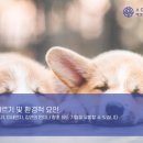 푸름켄넬 이미지