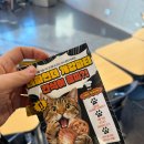 동아리 | 대학생 동아리 개강파티 &amp; MT 후기 | 더파인더 3월 총정리!