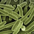 단비정신건강의학과의원 이미지