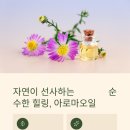 오행허브