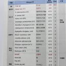관악연세이비인후과의원 티스토리