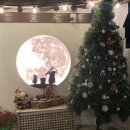 창성(애견) 이미지