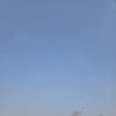 구리한강시민공원 | [캠핑로그] 초2 딸과 함께한 첫 에어돔 피칭! 구리 한강시민공원 가족캠핑장 당일치기