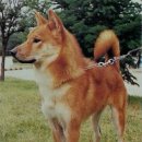 창진농장 이미지