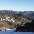 엠에스레포츠 이미지