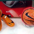 보보스 안경원 이미지