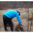 돌배농원 이미지