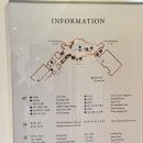 SUITE) 호캉스, 아시아나 국내선 비즈니스 탑승 및 라운지 후기, 공항 차량 픽업 서비스 제네시스 G90